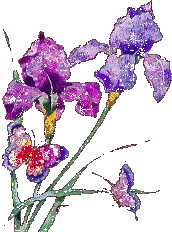 flower026
