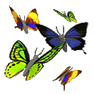farfalle-36