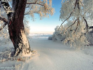 foto_neve_23